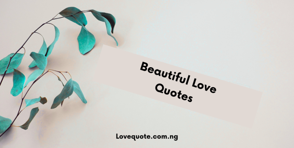 Beautiful Love Quotes