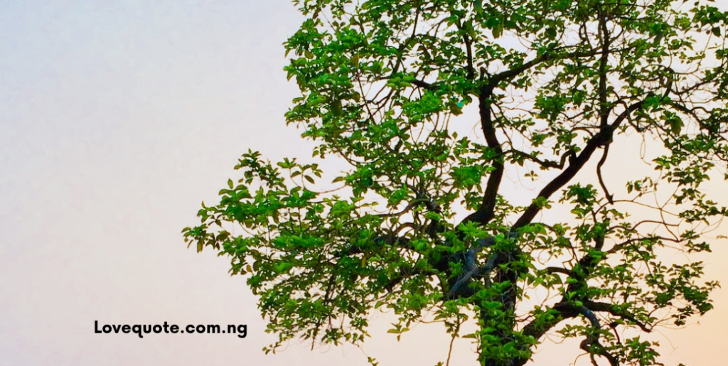 Love and Romantic Messages