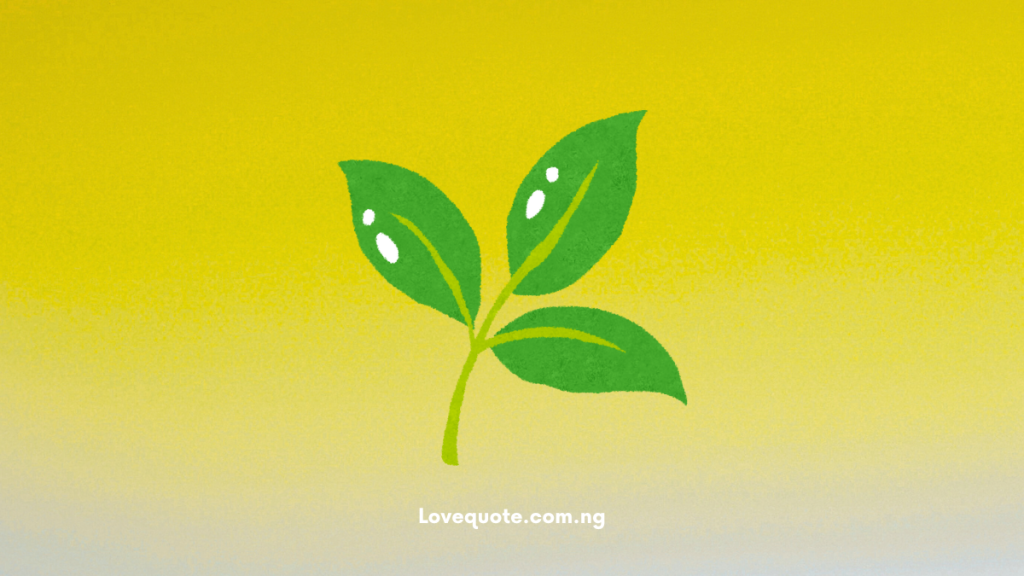 40+ Love Messages for a Fresh Start