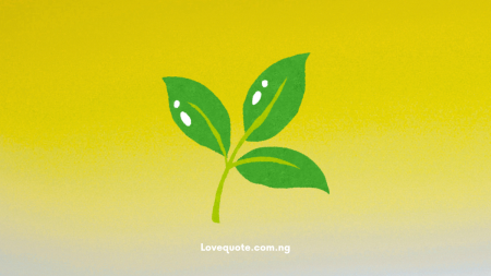 40+ Love Messages for a Fresh Start